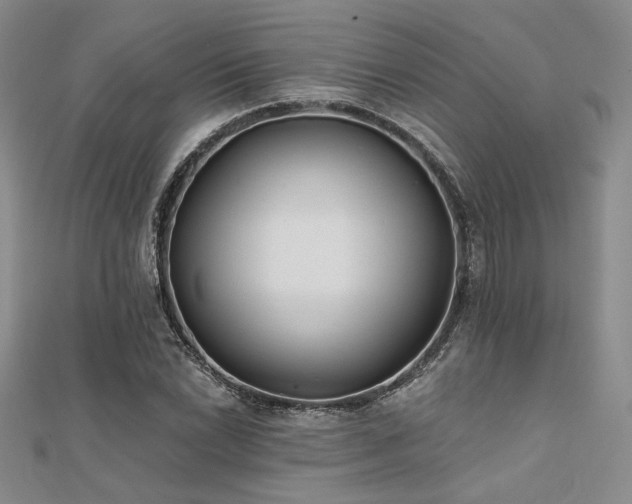 X0000112181022200908071322