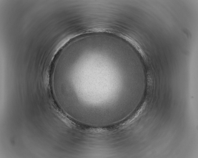 X0000112181023200908071322