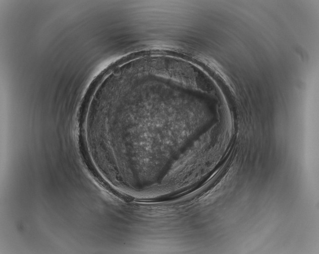 X0000112181024200908071322