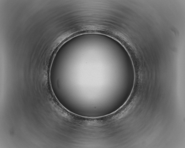 X0000112181025200908071322