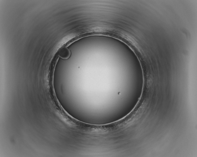 X0000112181026200908071322