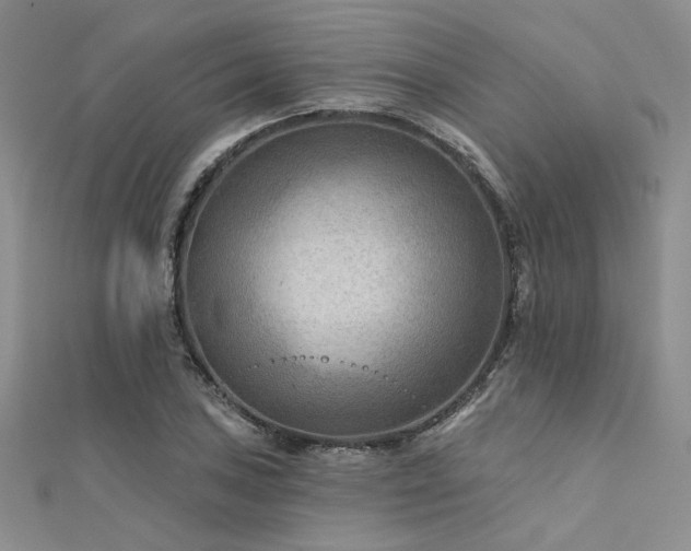 X0000112181027200908071322