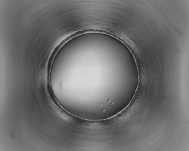 X0000112181028200908071322