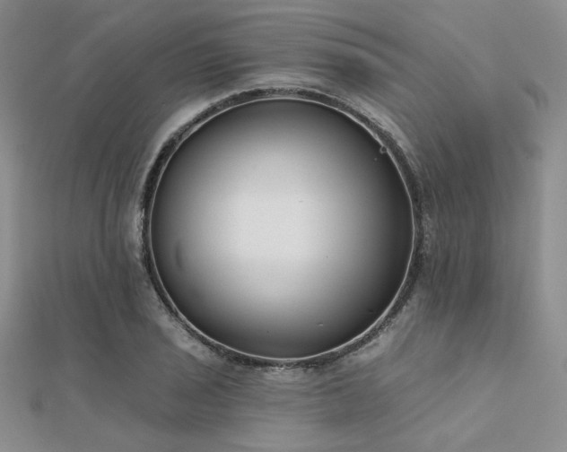 X0000112181029200908071322