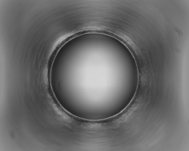 X0000112181030200908071322