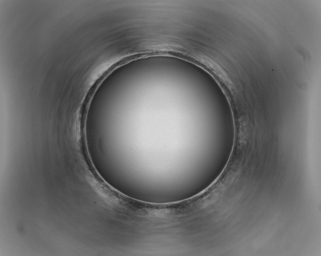 X0000112181031200908071322