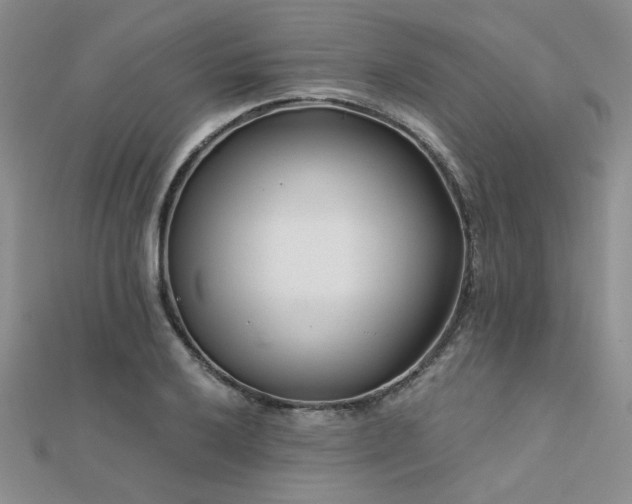 X0000112181032200908071322