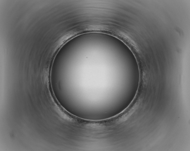 X0000112181033200908071322