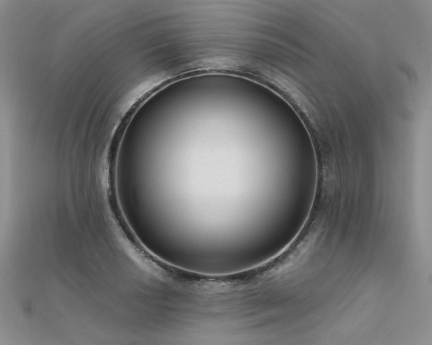 X0000112181034200908071322