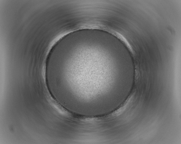 X0000112181035200908071322