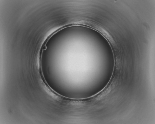 X0000112181036200908071322