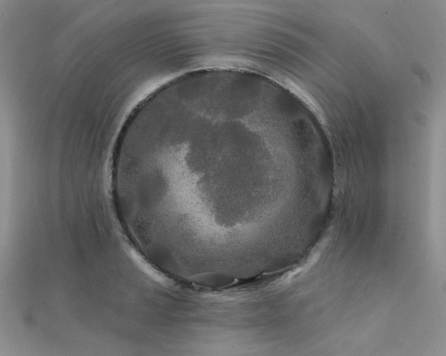 X0000112181037200908071322