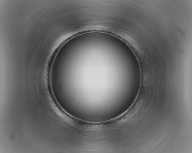 X0000112181038200908071322