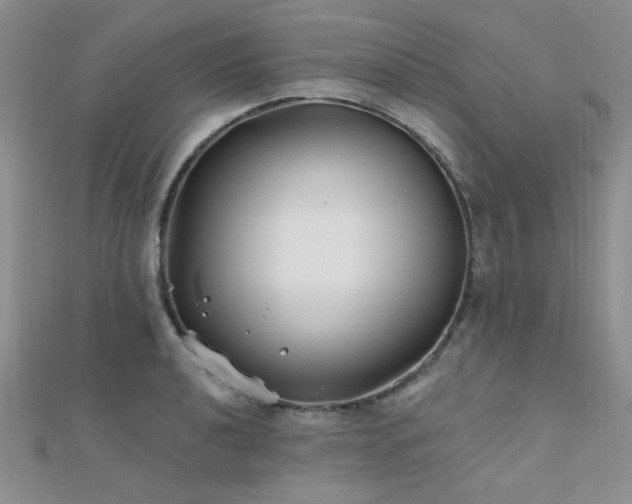 X0000112181040200908071322