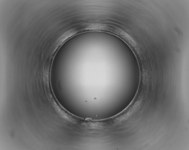 X0000112181041200908071322