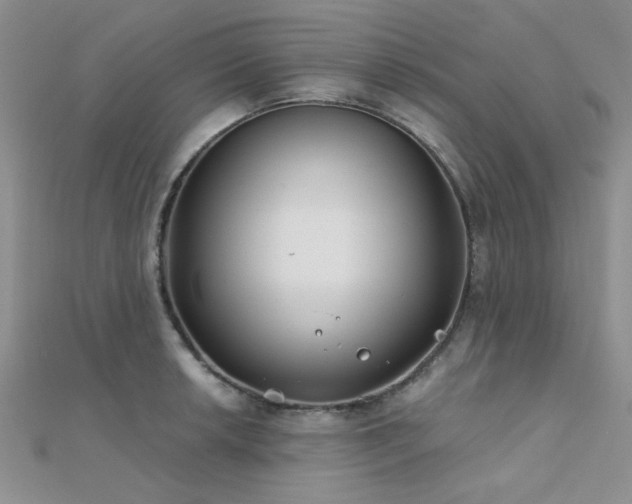 X0000112181042200908071322