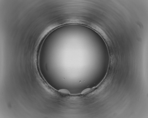 X0000112181043200908071322