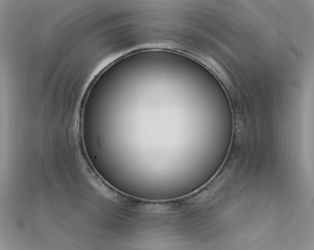 X0000112181044200908071322