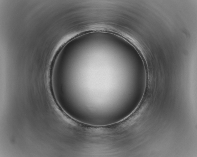 X0000112181045200908071322