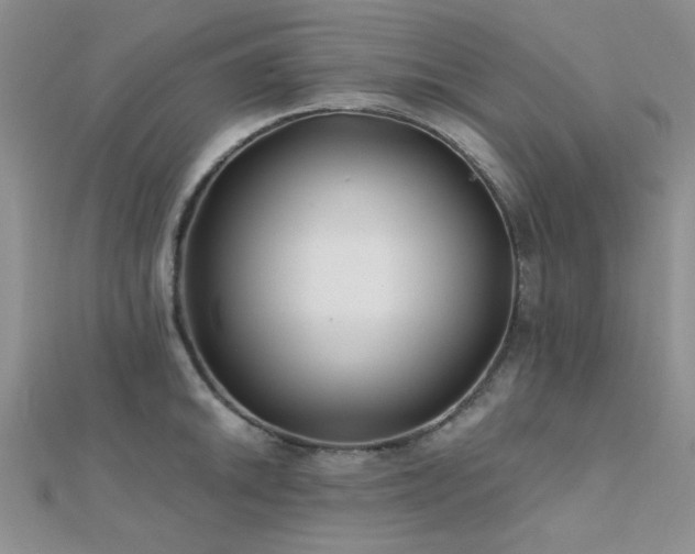 X0000112181046200908071322