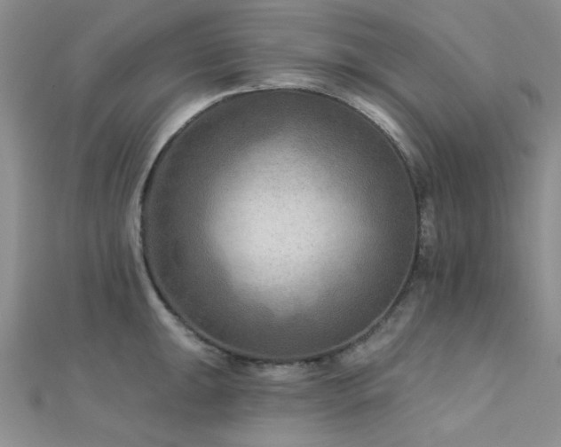 X0000112181047200908071322