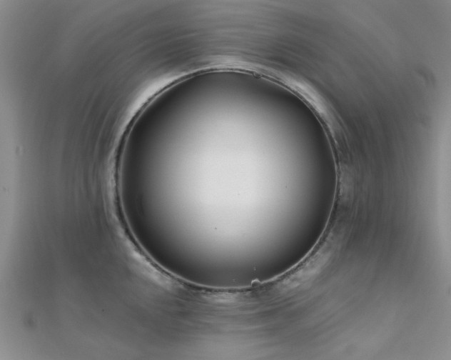 X0000112181048200908071322