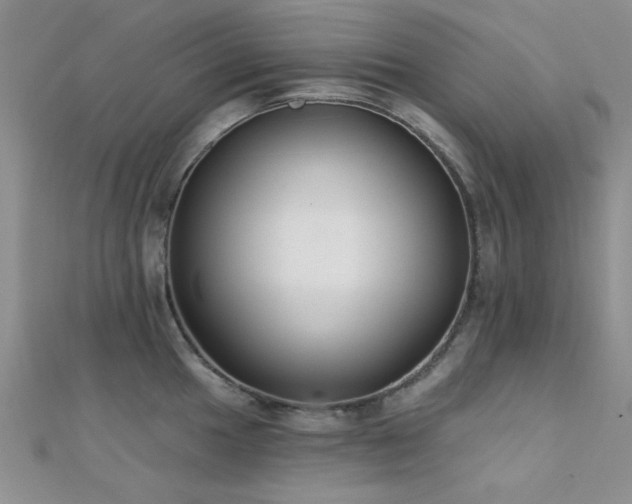 X0000112181049200908071322