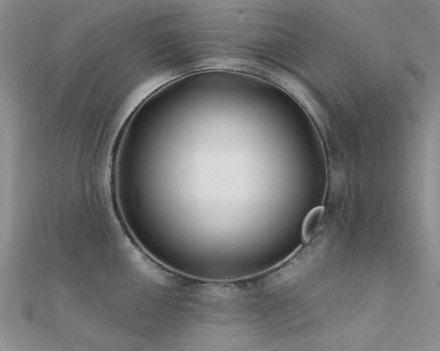 X0000112181050200908071322