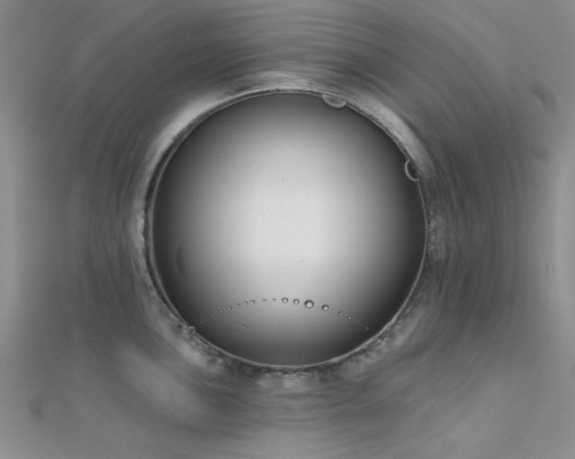 X0000112181051200908071322