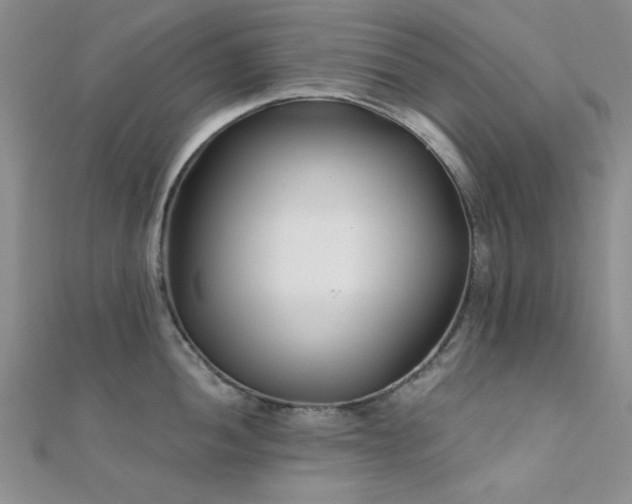 X0000112181052200908071322