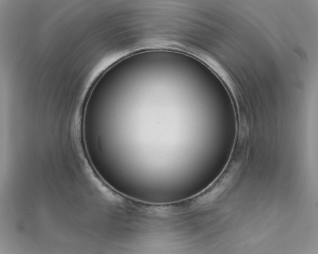 X0000112181053200908071322