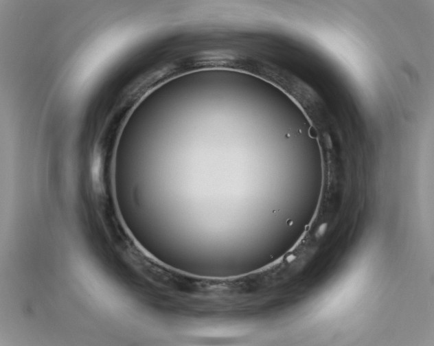 X0000112181054200908071322