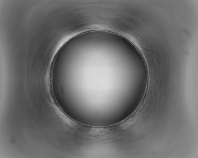 X0000112181056200908071322