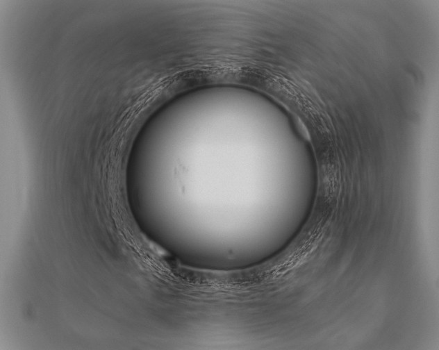 X0000112181057200908071321