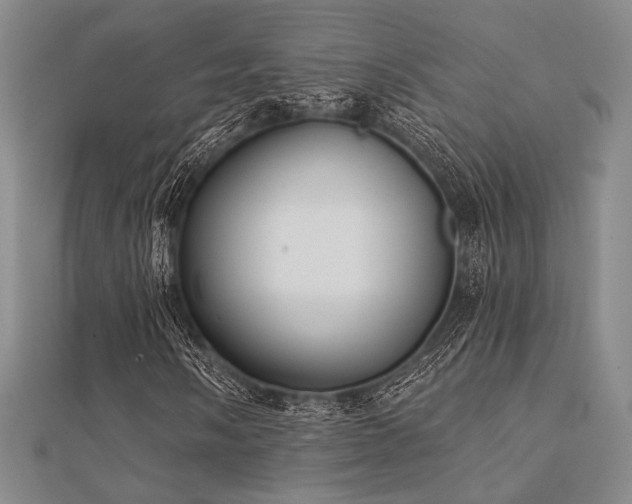 X0000112181058200908071321