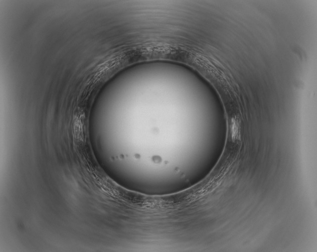 X0000112181059200908071321