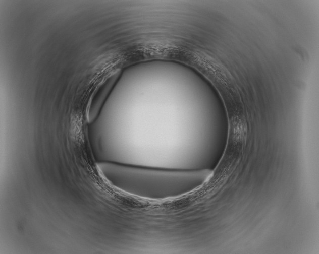 X0000112181060200908071321