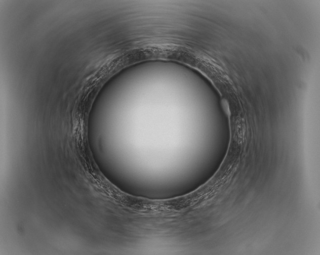 X0000112181061200908071321