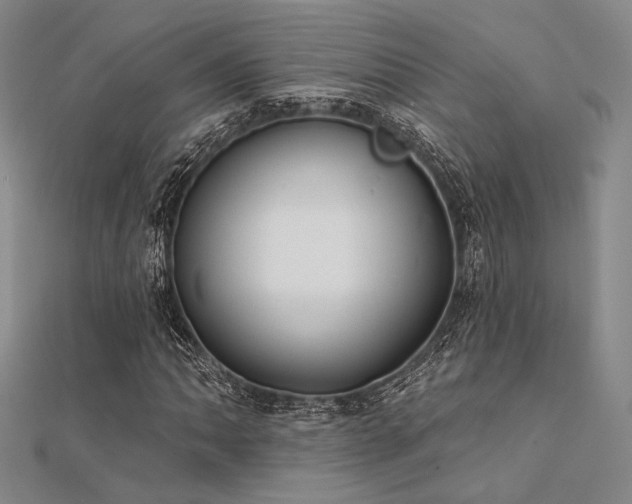 X0000112181062200908071321