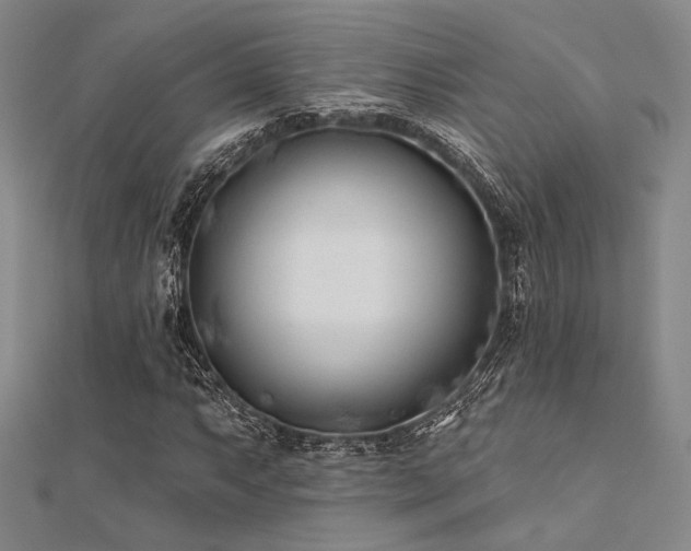 X0000112181063200908071321