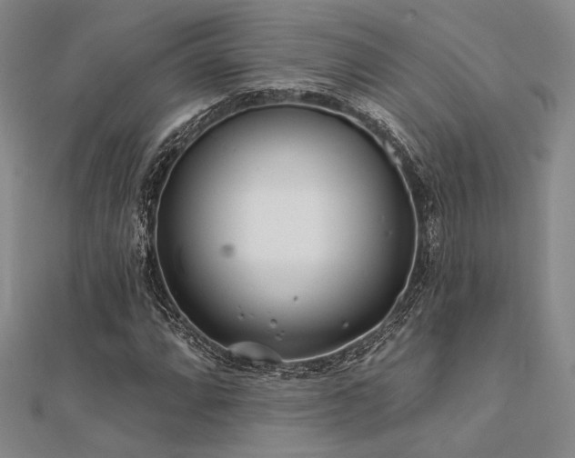 X0000112181064200908071321