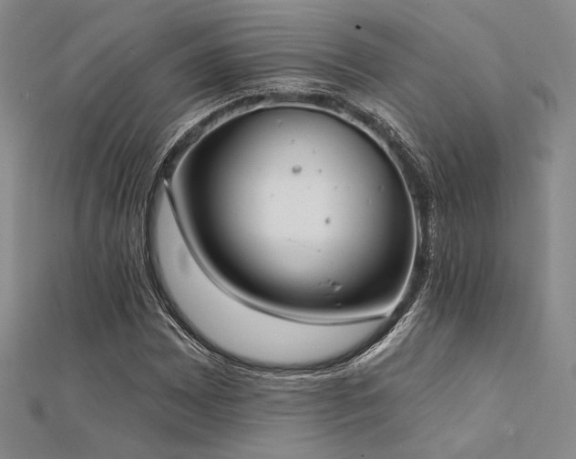 X0000112181065200908071321