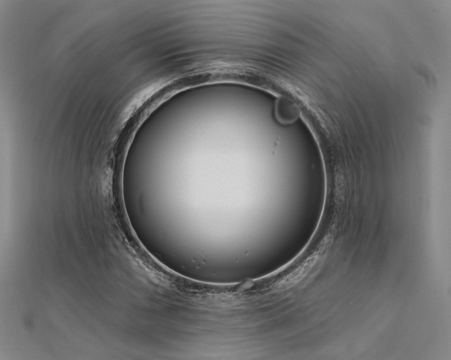 X0000112181066200908071321