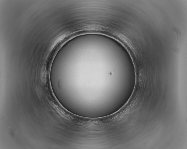 X0000112181067200908071321