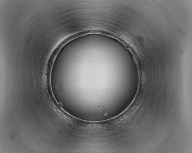 X0000112181068200908071321