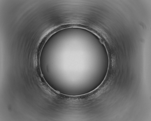 X0000112181069200908071321