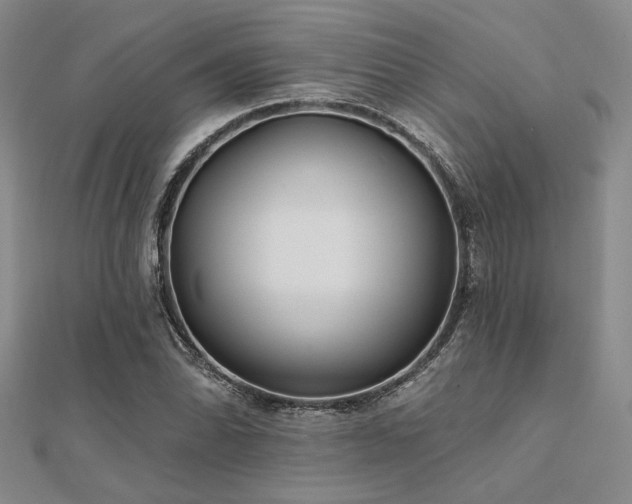 X0000112181070200908071321