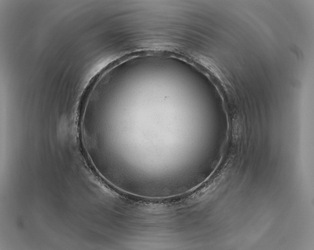 X0000112181071200908071321