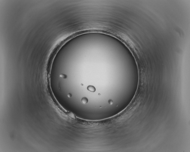 X0000112181072200908071321