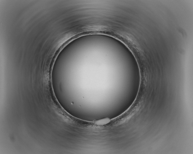 X0000112181073200908071321